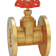 Industrial valve and flange